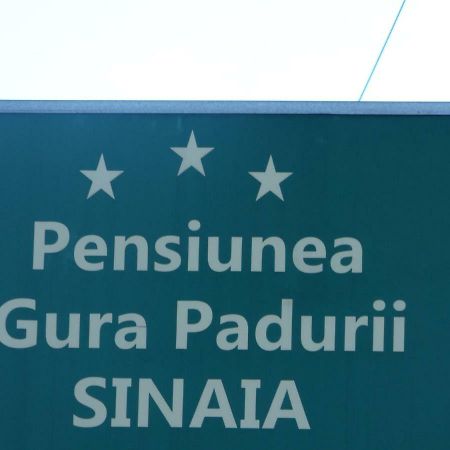 Gura Padurii Hotel Sinaia Buitenkant foto