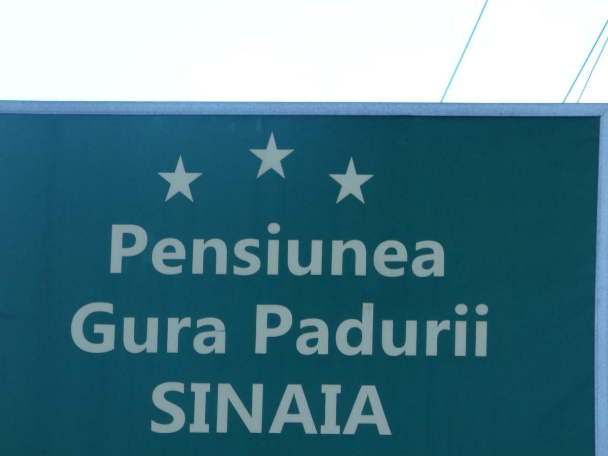 Gura Padurii Hotel Sinaia Buitenkant foto